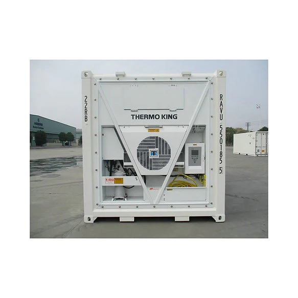 Container20PiedsFrigorifiqueReeferNeuf.webp