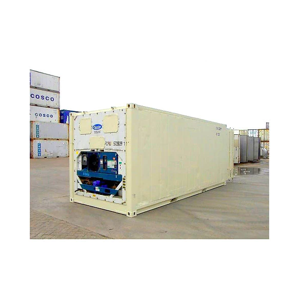 Container20PiedsFrigorifiqueReeferOccasion_ClasseA.webp